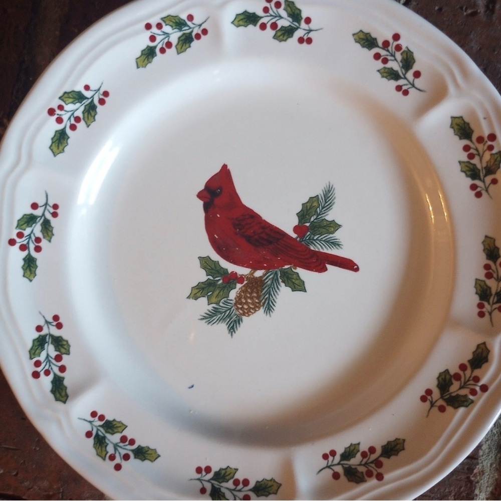 Cardinal Design Salad Plate Set - Picture 4 of 8